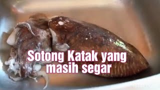 Suami masak simple sotong katak enak