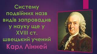 Поняття про класифікацію рослин