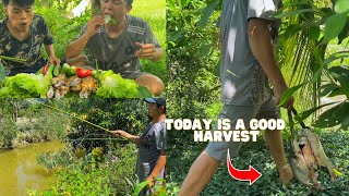 🎣 Cutting Bamboo & Fishing at the Pond | Delicious Salted Chili Grilled Fish in the Fields 🌿