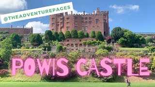 National Trust Powis Castle • Welshpool, Wales • Beautiful flower gardens • Peacocks