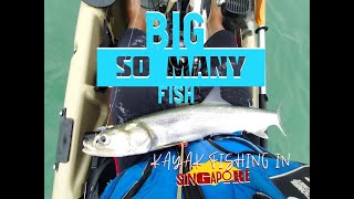 Kayak Fishing In Singapore | CHASING MANY MONSTER FISH | Jigging & Tenya