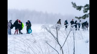 Таловские чаши