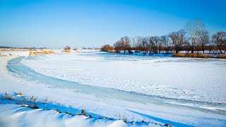 Потрясающая Музыка для души, Согревающая сердце и за душу берет! Сергей Чекалин! релакс видео