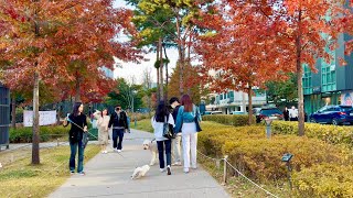 [Seoul 4K] 할로윈 주말 서울 홍대거리와 코로나마저 이겨낸 상권 연남동 경의선숲길 산책 Hongdae & Gyeongui line forest park | 4K HDR