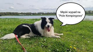 Męski wypad nad jezioro"Bernsteinsee" Pojechaliśmy sami bez Kobiet 😉 #monio #bordercollie #przyczepa