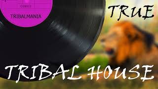 Tribal House mix Tribalmania