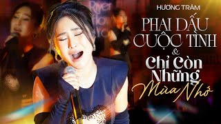 Hương Tràm suýt khóc khi thể hiện Hit xưa "PHAI DẤU CUỘC TÌNH" | River Flows In You SHOW