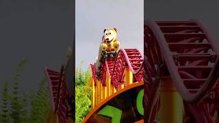 Slinky Dog Roller Coaster #rollercoaster #shorts