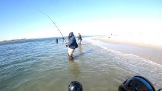 Springtime Bluefish 2021 Part 1