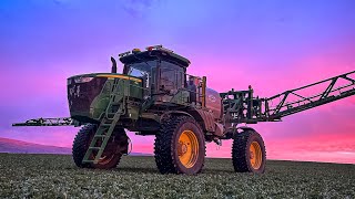 Roundup Ready Alfalfa VS Conventional Alfalfa