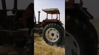 tractor agriculture working on