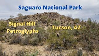 Signal Hill Petroglyphs- Saguaro National Park, AZ