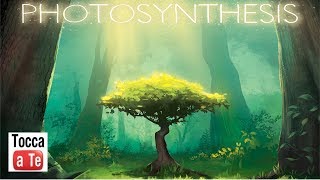 Tocca a te 094 - Photosynthesis