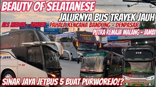 Bus Bus Dengan Trayek Terjauh Banyak Yang Lewat Sini‼️Sinar Jaya Jetbus 5 Buat Jalur Selatan⁉️