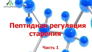 Пептидная регуляция старения Часть 1