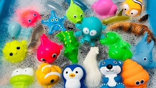 Learn Sea Animal Names | Sea Animals for Kids | Sea Creatures for Kids | Sea Animal Toys