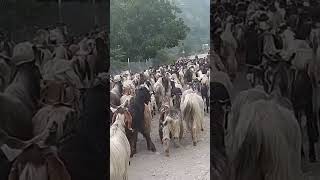 Naran valley watch my vlog on my YouTube channel #narankaghan #kaghanvalley #bikeride #babusartop