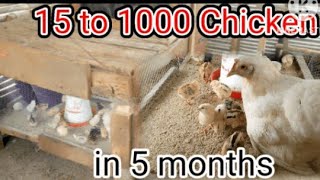 HOW TO GROW A SMALL POULTRY FARM INTO A BIG ONE