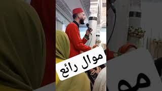 موال من عند مجموعة حلاوة #shorts