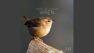 Wren