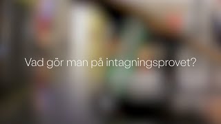 Hur går intagningsprovet till Cirkusgymnasiet till?