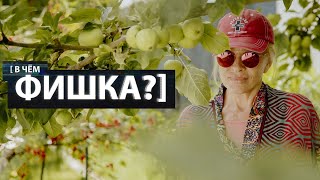 "Этот запрет - это позор": Вайкуле о собаках на пляже, Юрмале и "Евровидении"