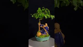 Võ thuật và nghệ thuật bonsai #shorts