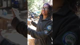 Touring the Backcountry Trail Crew Camp in Yosemite