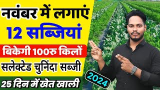 November me konsi sabji lagaye | नवम्बर 2024 में कौनसी सब्जी लगाएं | November me sabji ki kheti