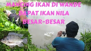 Mancing ikan ke Desa Wande, Ikannya brow besar-besar