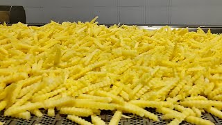 1500KG French Fries Production Line  البطاطس المقلية خط الانتاج Ligne de production de frites