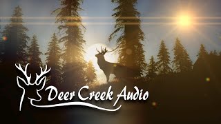 About Deer Creek Audio - Digital Signal Processing Experts