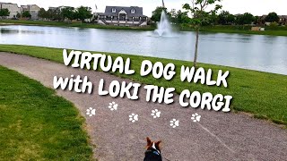 Virtual Dog Walk | Relaxing Dog TV | Park Lake and Neighborhood Path