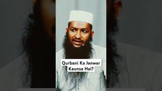 Qurbani Ka Janwar Kaunsa Hai?   #calltowardstawhid #cttreels #viralreels #reels#islamicreels#qurbani