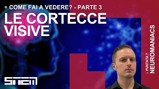 Come fai a vedere? Pt 3: cortecce visive, tridimensionalità e illusioni ottiche