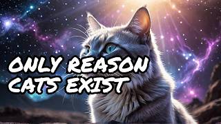 🔴 The ONLY Reason Why Cats Exist (Unbelievable)