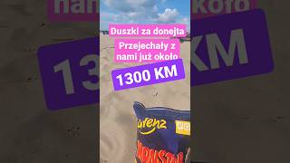 Duszki za donejta. To już 1300 km. #fans #shorts #army #wojsko #funny