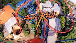 SheiKra [4K] Front Seat POV - Busch Gardens Tampa Bay