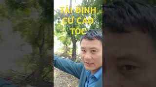 TÁI ĐỊNH CƯ CAO TỐC BIÊN HOÀ VŨNG TÀU #CAOTOC #bdsbienhoa #batdongsan