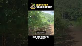 내 굴삭기 도입은 효율성을 극대화할때만 | 나무대장🌳 나무농사의 모든것