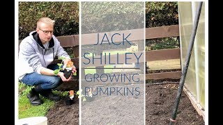 Growing Pumpkins | Jack Shilley