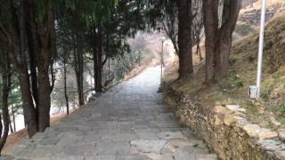 Bhutan - morning monastery