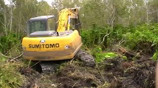 Digging Pond 3 in the Williamson Wetland