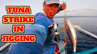 TUNA AMBUSHED STRIKE IN JIGGING