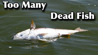 this is KILLING our red fishery…. (commercial free)