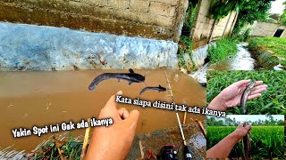 Jangan Lihat Spotnya Tapi Hasilnya_Mancing Lele Air Keruh