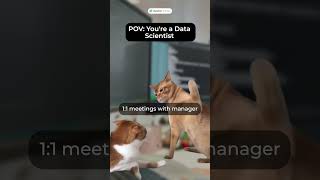 POV: You are a Data Scientist #datasciencecourse #funny #trending #catmemes