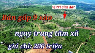 Siêu rẻ! 9 xào, sổ đủ ngay trung tâm xã thuận tiện giảm giá còn 220 triệu/bán đất đắk nông