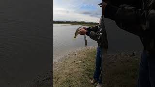 Pesca de orilla con plásticos