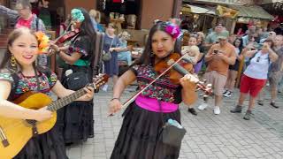 Zakopane #02 Folk Festival / Discover Your Roots